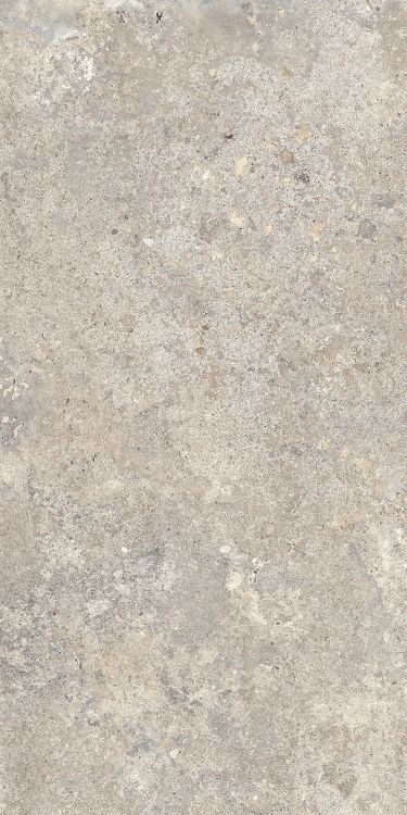 Beat Almond 12 x 24 Beat Almond 12 x 24
